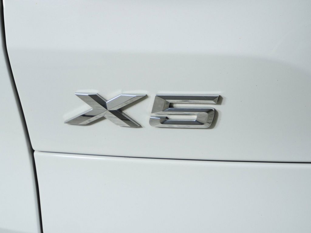 Thumbnail: 2019 BMW X5 - 24