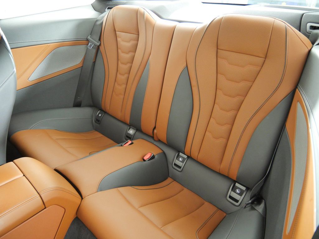 Thumbnail: 2019 BMW 8 Series - 33
