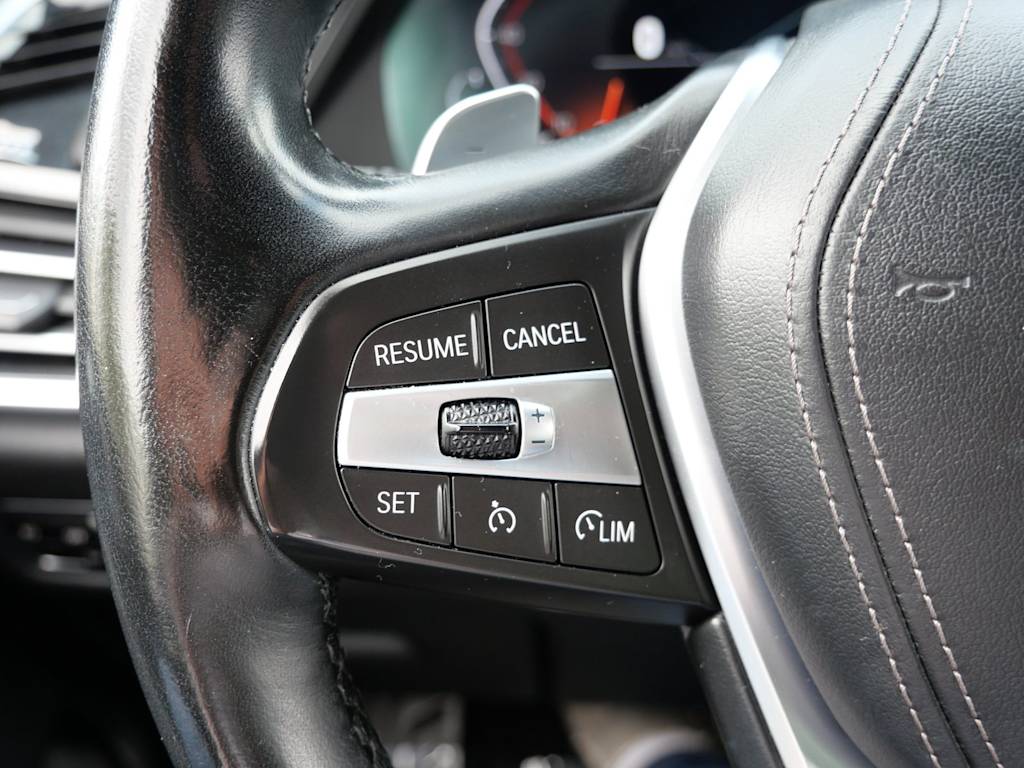 Thumbnail: 2019 BMW X5 - 29