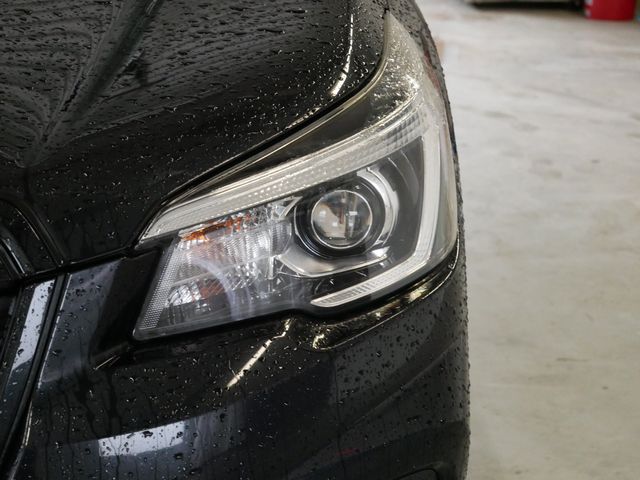 Thumbnail: 2019 Subaru Forester - 13