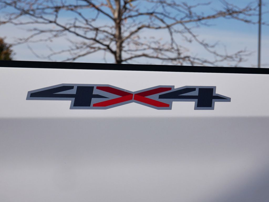 Thumbnail: 2019 Chevrolet Silverado 1500 - 46