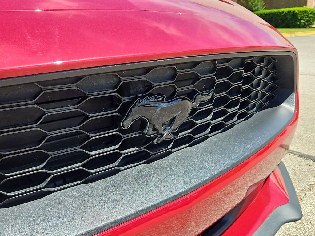 Thumbnail: 2023 Ford Mustang - 26