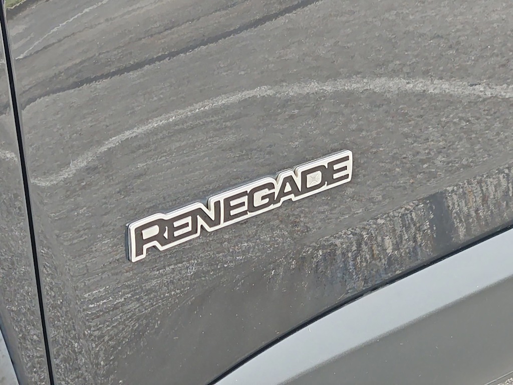 Thumbnail: 2019 Jeep Renegade - 24