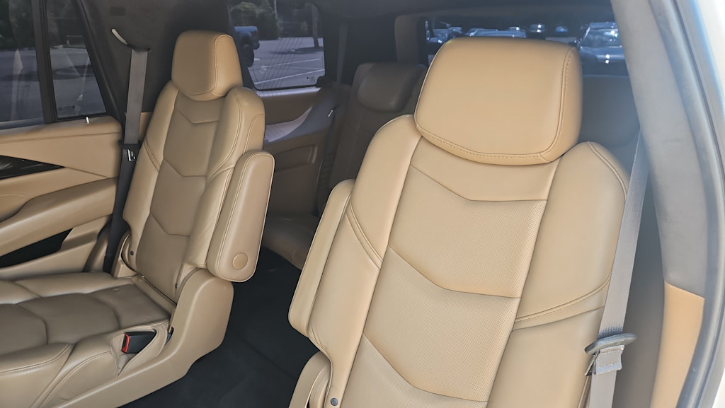 Thumbnail: 2020 Cadillac Escalade - 9