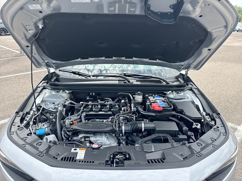 Thumbnail: 2025 Honda Accord - 7