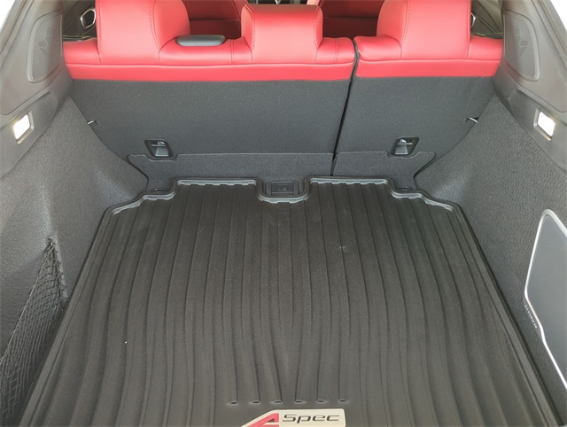 Thumbnail: 2025 Acura Integra - 18