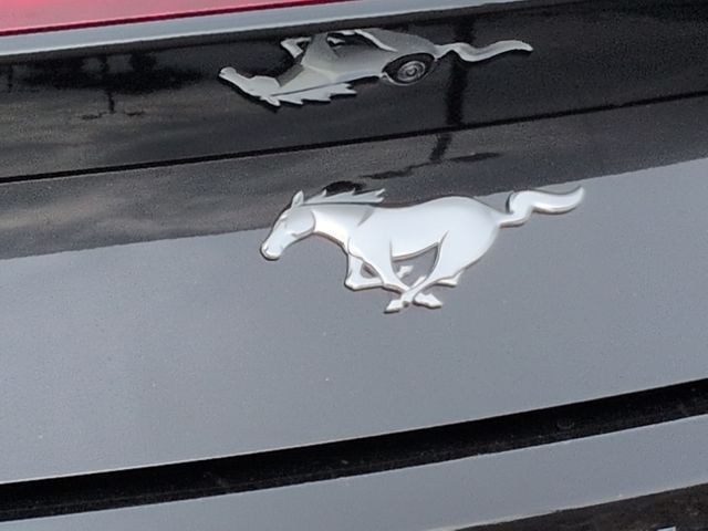 Thumbnail: 2024 Ford Mustang - 27