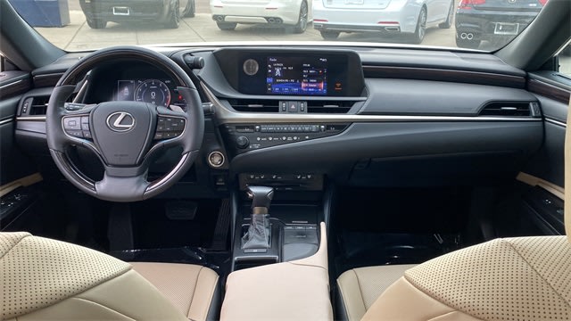 2019 Lexus ES 350 F Sport 10