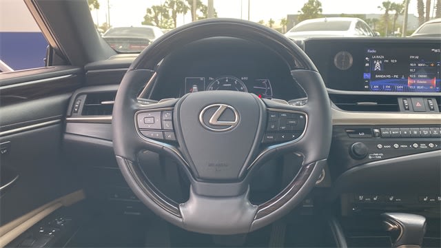 2019 Lexus ES 350 F Sport 14