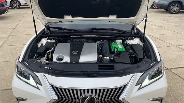 2019 Lexus ES 350 F Sport 9