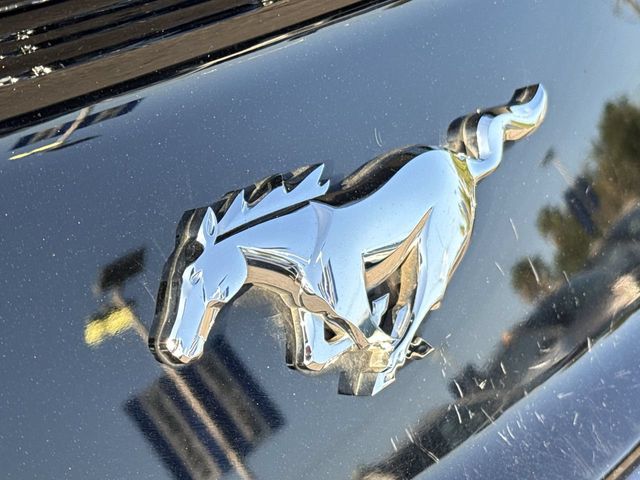 Thumbnail: 2016 Ford Mustang - 23