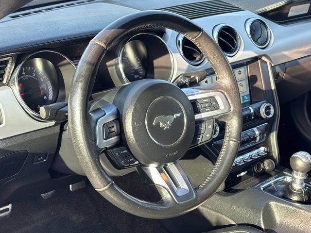Thumbnail: 2016 Ford Mustang - 12