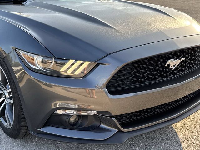 Thumbnail: 2016 Ford Mustang - 7