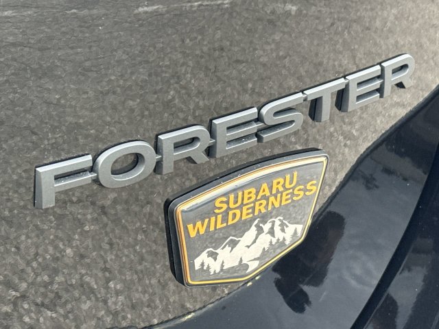 Thumbnail: 2025 Subaru Forester - 23