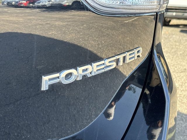 Thumbnail: 2023 Subaru Forester - 23