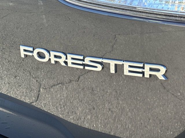 Thumbnail: 2023 Subaru Forester - 22