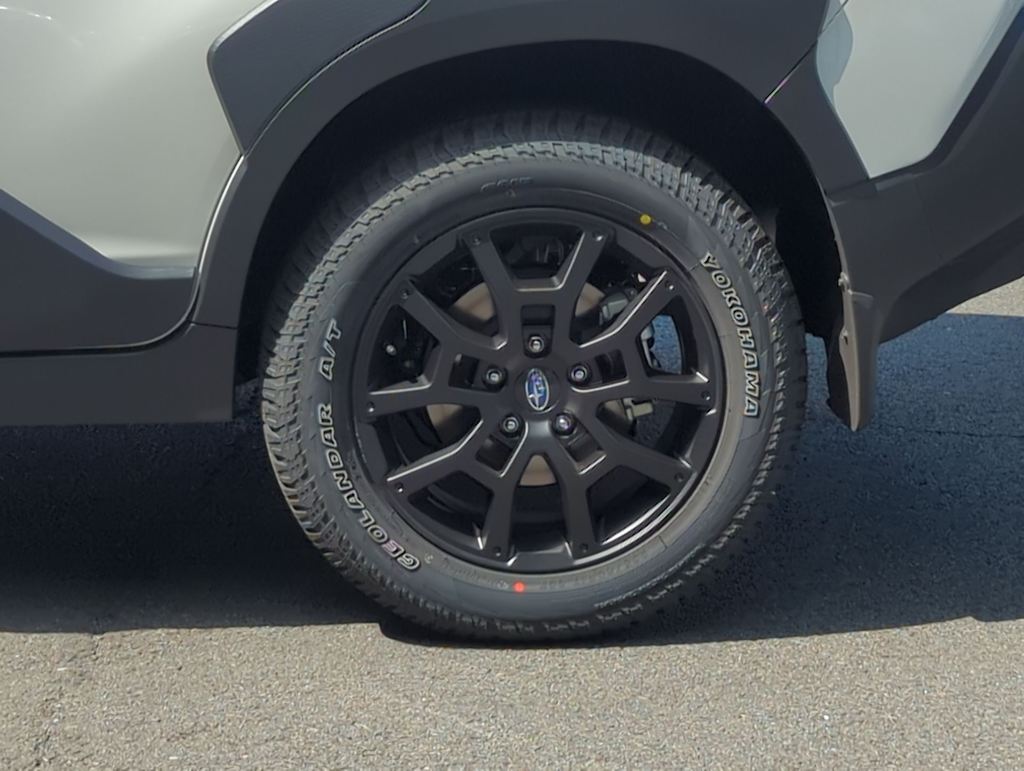 Thumbnail: 2025 Subaru Crosstrek - 8