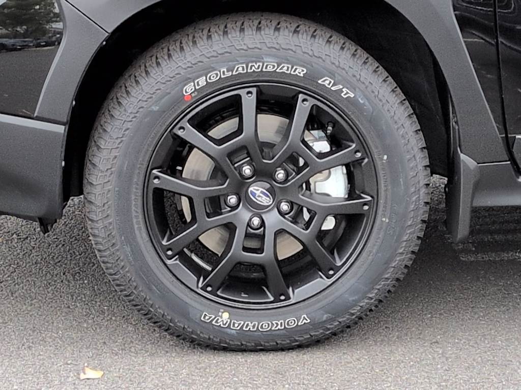 Thumbnail: 2025 Subaru Crosstrek - 8