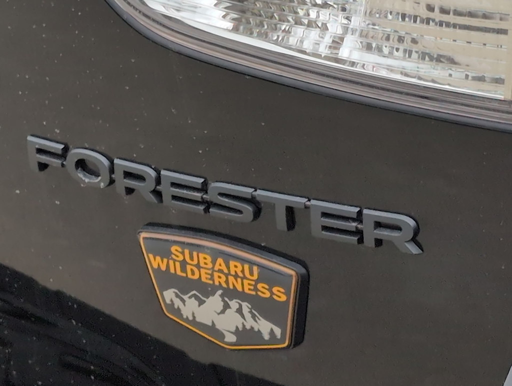 Thumbnail: 2025 Subaru Forester - 24
