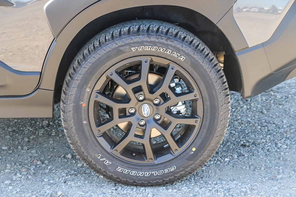 Thumbnail: 2025 Subaru Crosstrek - 20