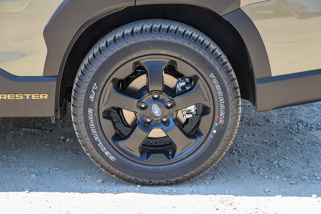 Thumbnail: 2025 Subaru Forester - 22