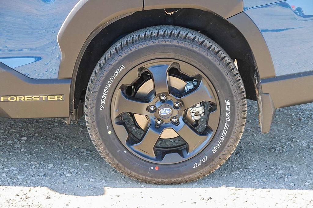 Thumbnail: 2025 Subaru Forester - 20