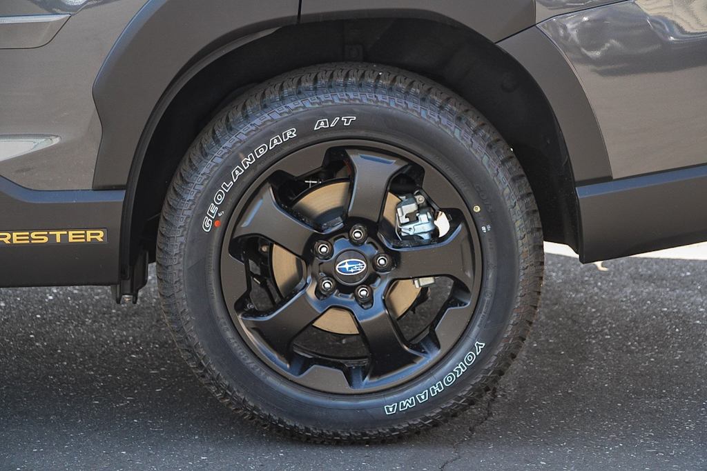 Thumbnail: 2025 Subaru Forester - 19