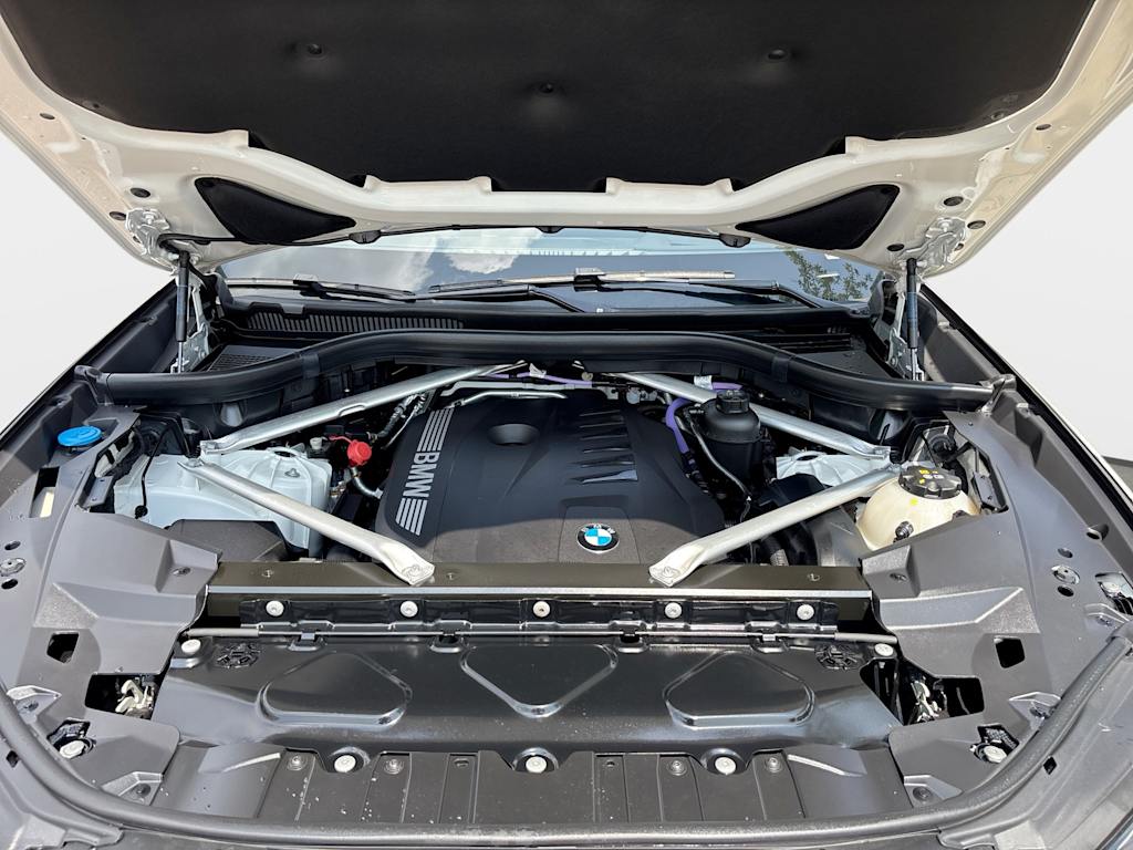 Thumbnail: 2024 BMW X6 - 8