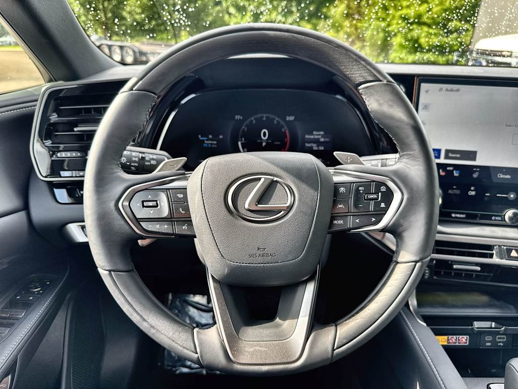 Thumbnail: 2025 Lexus RX - 10