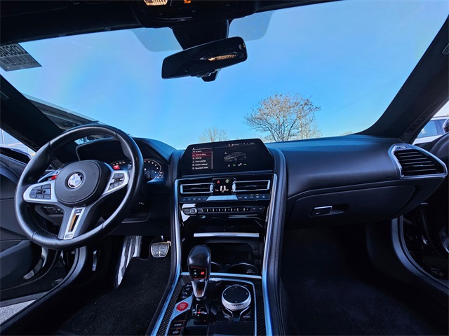 Thumbnail: 2020 BMW M8 - 10