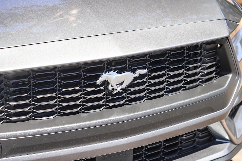 Thumbnail: 2025 Ford Mustang - 19