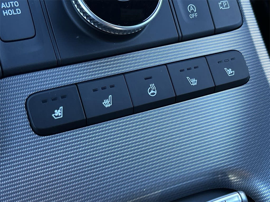 Thumbnail: 2024 Hyundai Palisade - 37