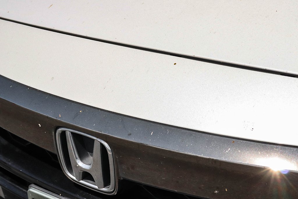 Thumbnail: 2018 Honda Accord - 15