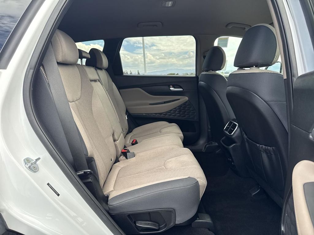 Thumbnail: 2019 Hyundai Santa Fe - 32