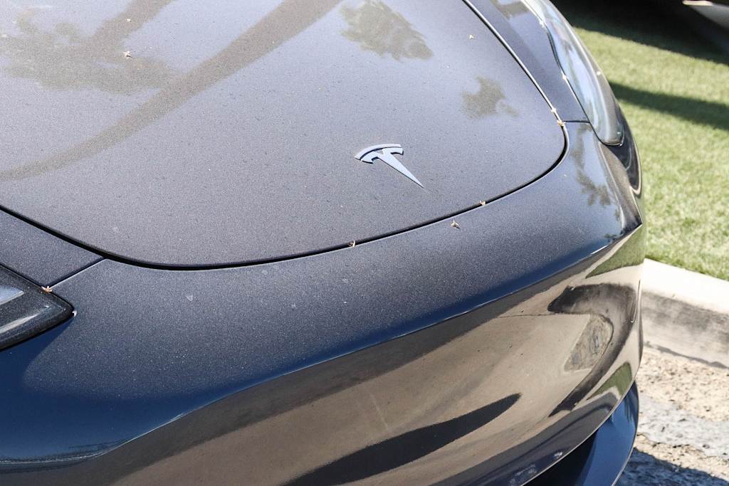 Thumbnail: 2023 Tesla Model 3 - 24