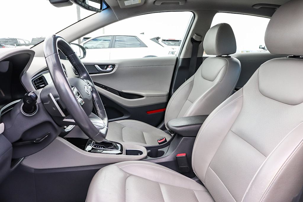 Thumbnail: 2019 Hyundai Ioniq - 10