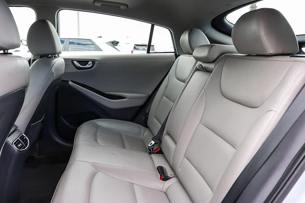 Thumbnail: 2019 Hyundai Ioniq - 11