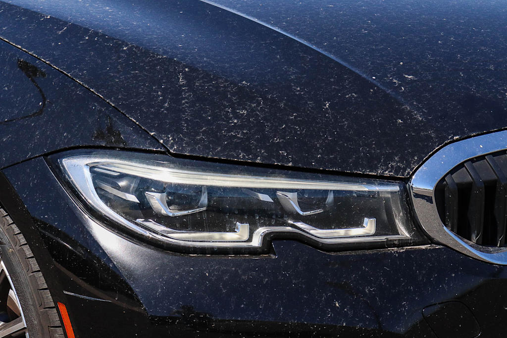 Thumbnail: 2019 BMW 3 Series - 26
