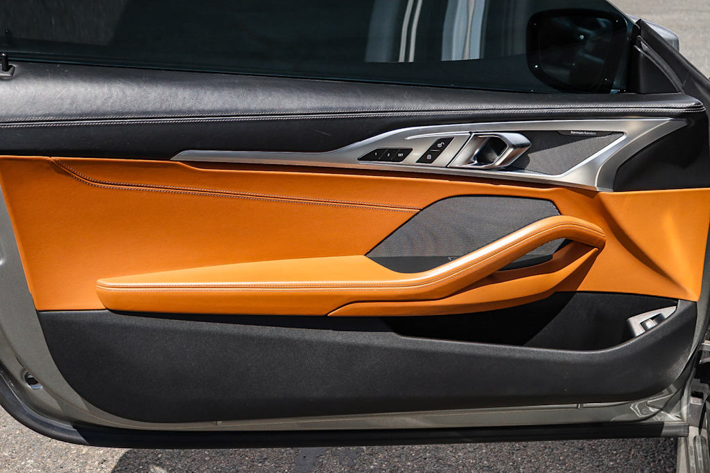 Thumbnail: 2019 BMW 8 Series - 28