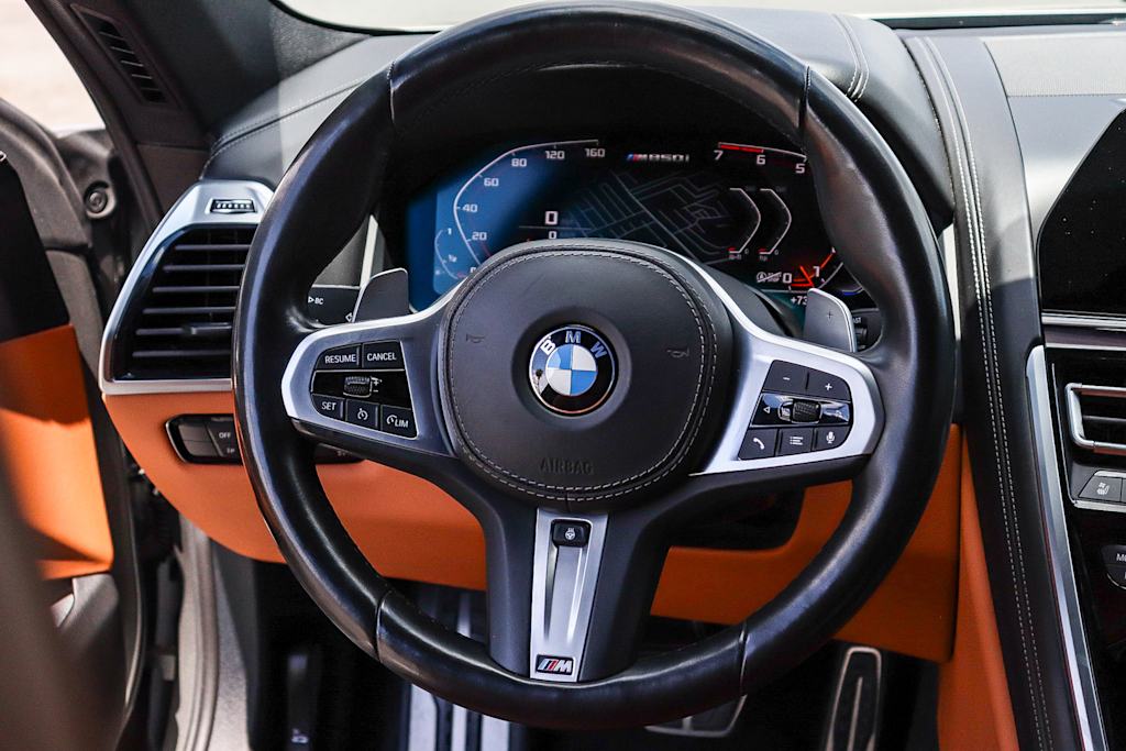 Thumbnail: 2019 BMW 8 Series - 9