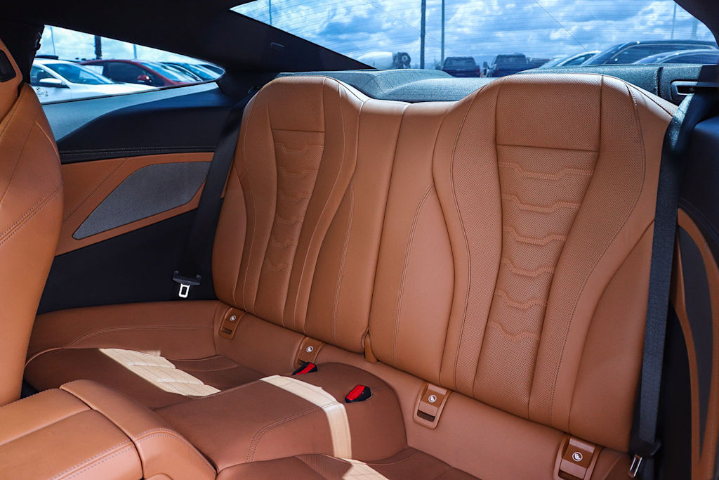 Thumbnail: 2019 BMW 8 Series - 12