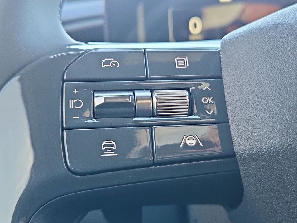 Thumbnail: 2026 Kia EV9 - 31