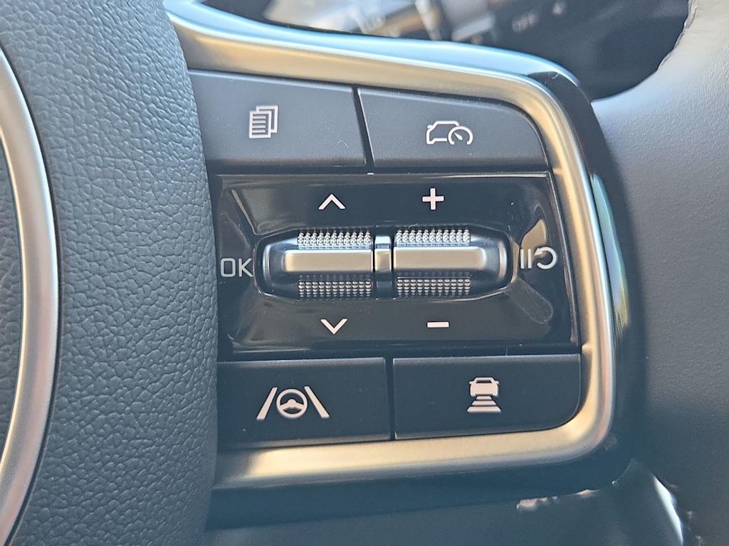 Thumbnail: 2026 Kia Carnival - 30