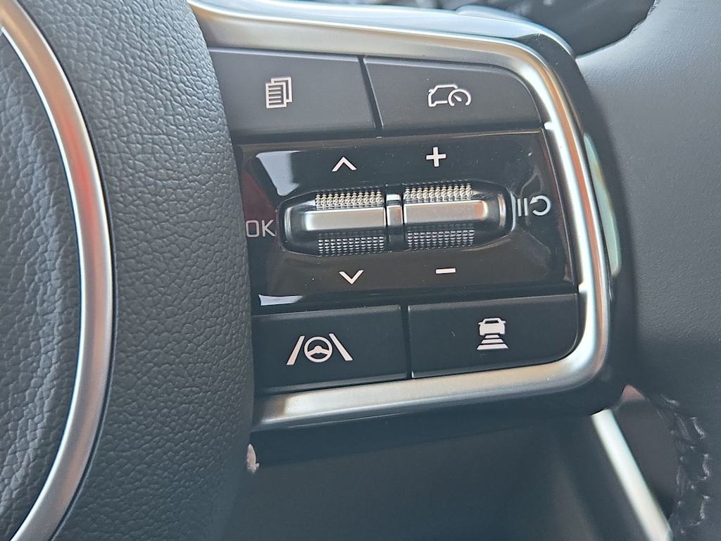 Thumbnail: 2026 Kia Carnival - 29